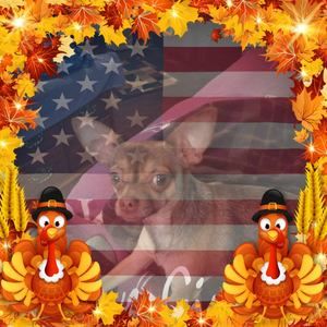 Meet your Posher, Becky